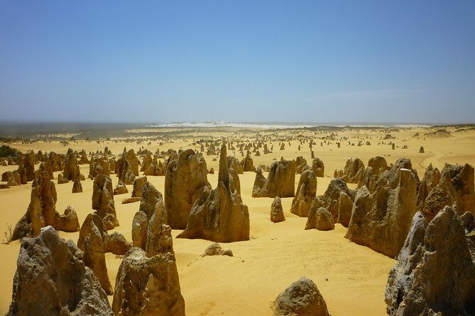 Pinnacles Desert Private Tour - The Overall Value