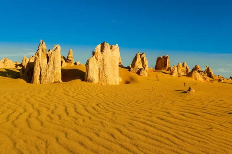 Pinnacles Desert Private Tour - Why This Tour Offers Great Value