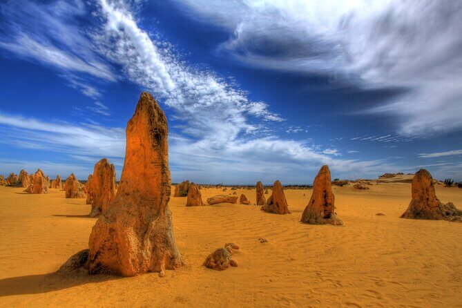 Pinnacles Desert, Yanchep and Swan Valley with Lunch - The Pinnacles Desert: Moon-Like Landscape