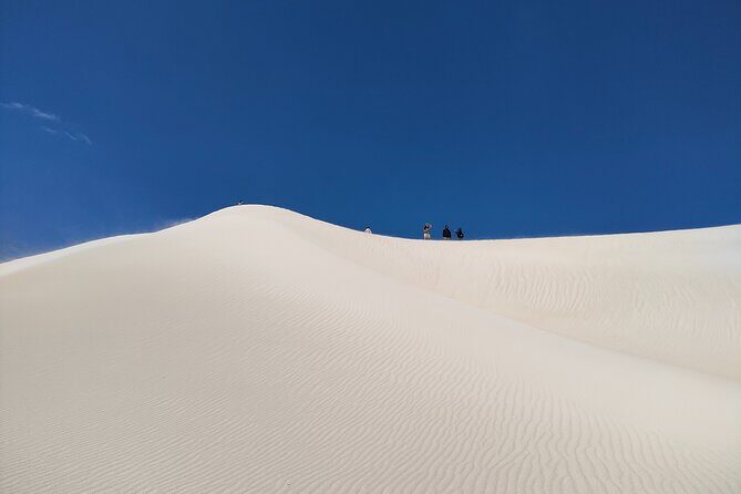 Pinnacles+Lancelin Sand Dune Impression Day Tour from Perth - What’s Included and What’s Not?