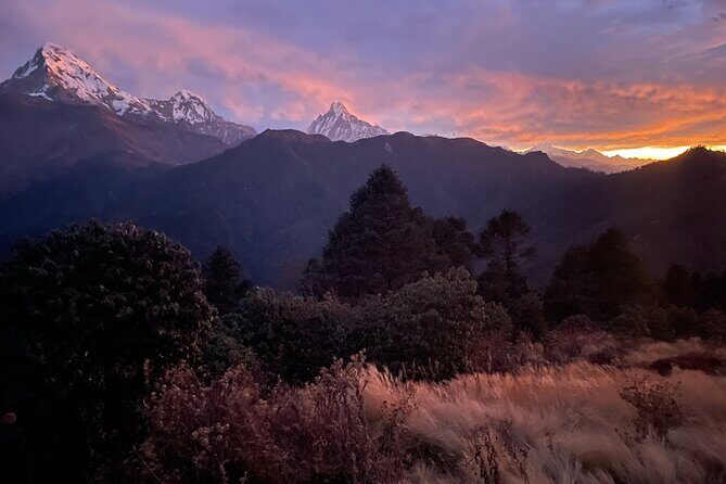 Pokhara: 4 Days Poon Hill and Ghandruk Trek - In-Depth Itinerary Breakdown