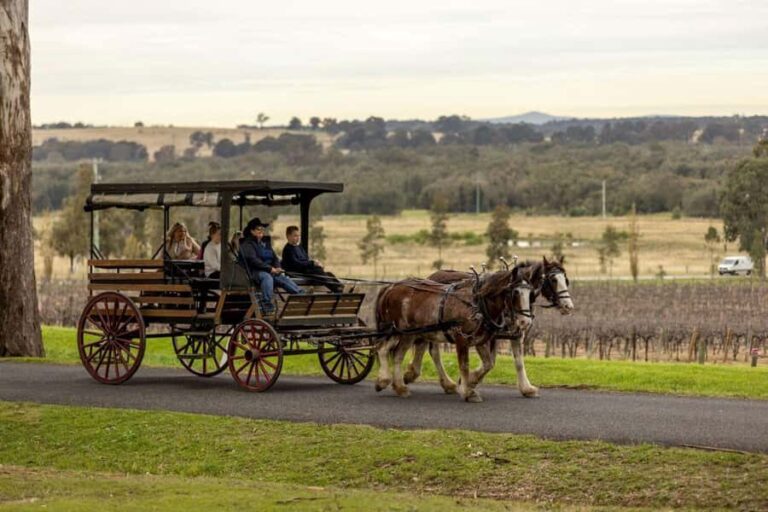 Pokolbin: Harvest the Hunter Horse Drawn Carriage Tour 3hrs - Practical Details for Travelers