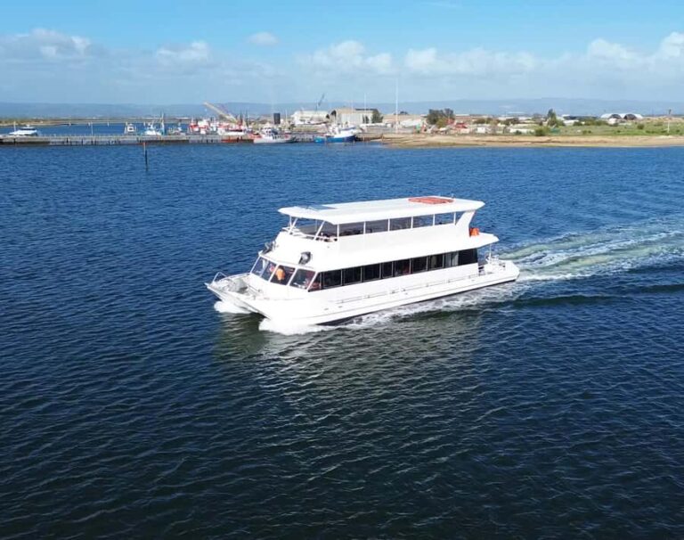 Port Adelaide: Dolphin and Maritime Cruise - The Real Value of the Experience