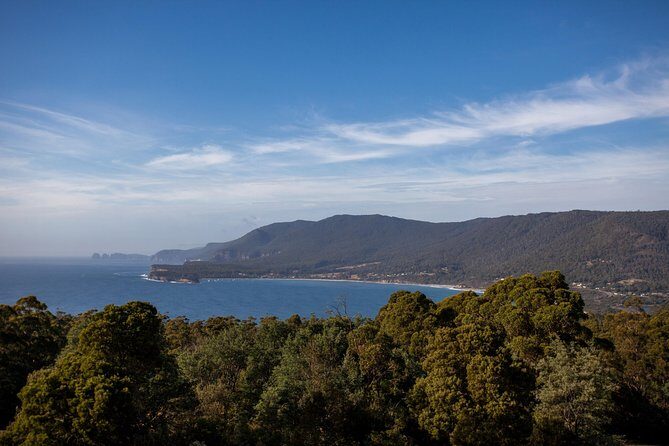 Port Arthur, Richmond and Tassie Devils Active Tour from Hobart - Practical Details and Value