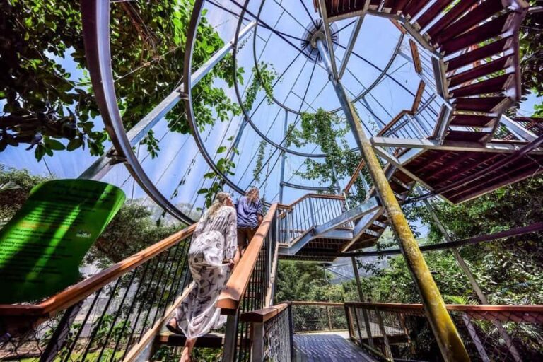 Port Douglas: Breakfast with the Birds - The Itinerary Breakdown