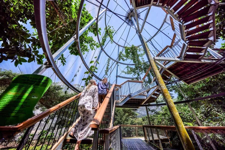 Port Douglas: Breakfast with the Birds - The Itinerary Breakdown
