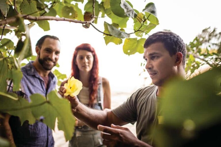 Port Douglas: Daintree Cultural Tour with Hotel Pickup - Who Will Love This Tour?