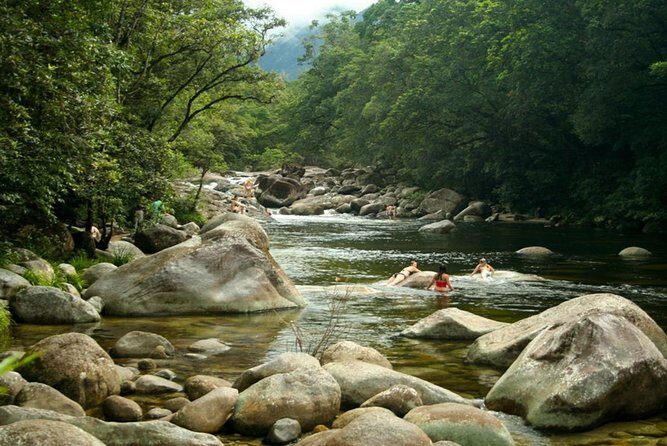 Port Douglas Daintree National Park Boutique Full-Day Tour - The Sum Up