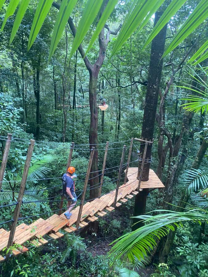 Port Douglas: Daintree National Park Tour, Cruise, & Zipline - The Itinerary: A Closer Look