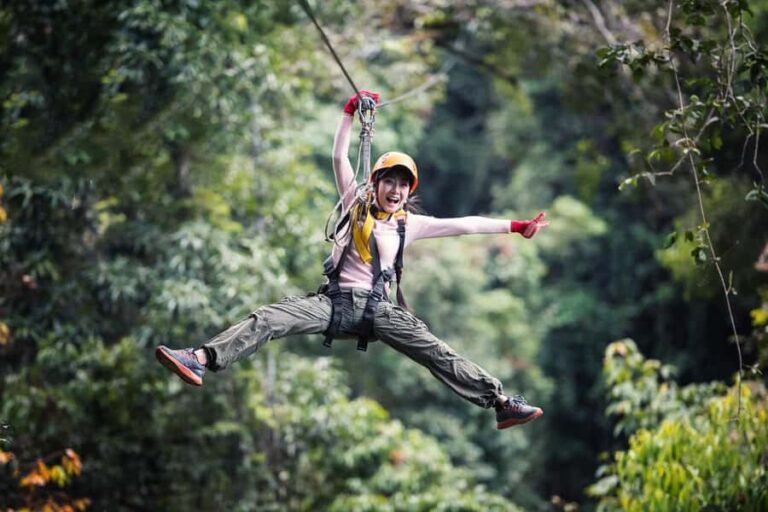Port Douglas: Daintree Rainforest Canopy Ziplining Tour - Who Will Love This Experience?