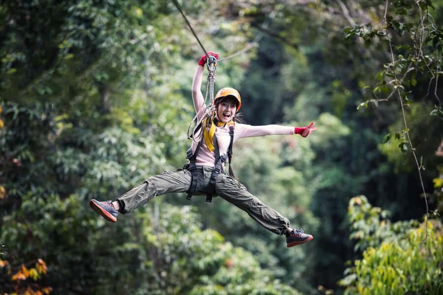 Port Douglas: Daintree Rainforest Canopy Ziplining Tour - Who Will Love This Experience?