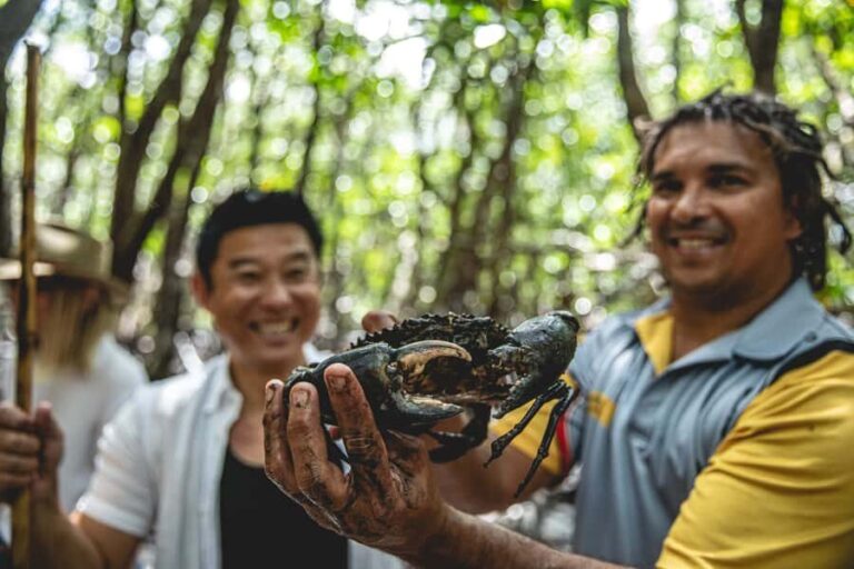 Port Douglas: Full Day Daintree Cultural Tour with Lunch - Engaging Activities and Cultural Insights