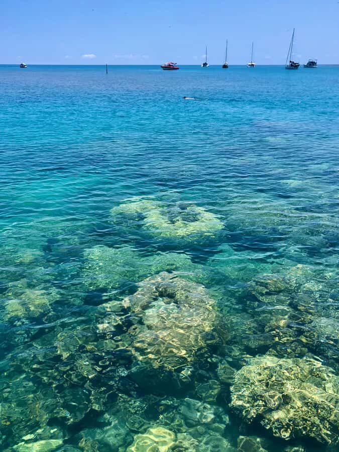 Port Douglas: Half-Day Low Island and Lagoon Snorkeling Tour - The Value of the Tour