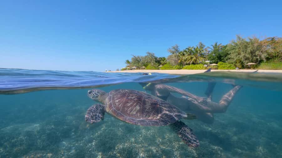 Port Douglas: Low Isles Glass Bottom Boat & Snorkeling Tour - Detailed Breakdown of the Itinerary
