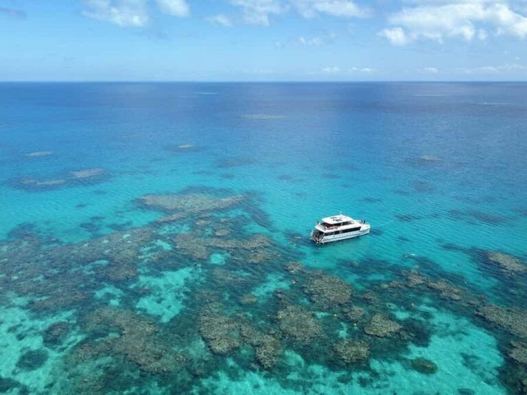 Port Douglas: Outer Great Barrier Reef Snorkeling Cruise - The Significance of the Trip to the Reef’s Edge