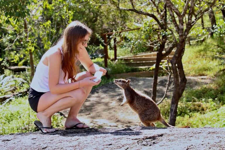 Port Douglas : Private Guide WILDLIFE Safari - First Stop: Riverfront Property and Birdwatching