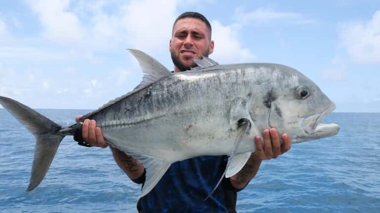 Port Douglas: Reef & Estuary Sportfishing Charters - What Makes This Tour Stand Out?