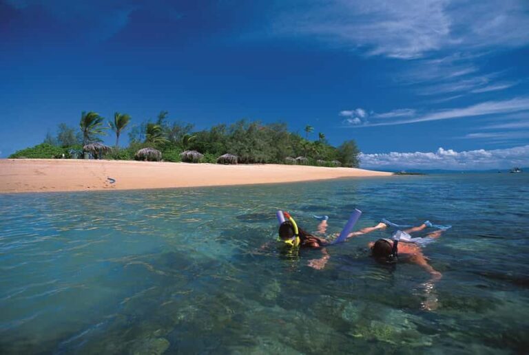 Port Douglas: Reef & Low Isles Cruise on Luxury Catamaran - Exploring Low Isles: What Makes It Special