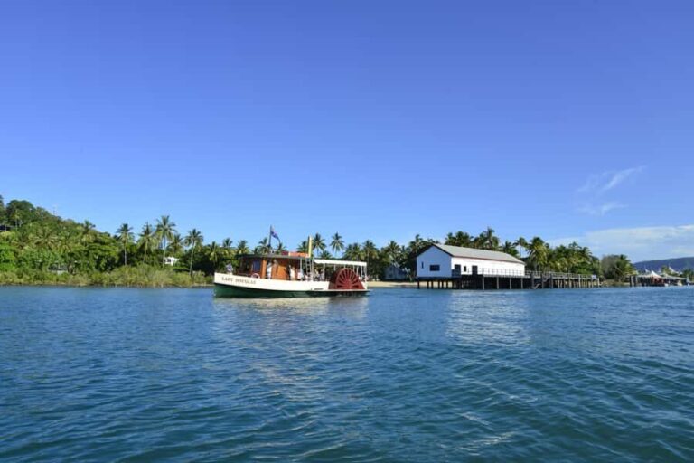 Port Douglas: River Cruise, Crocodile Spotting, Drink/ Snack - The Human Element: Guides and Crew