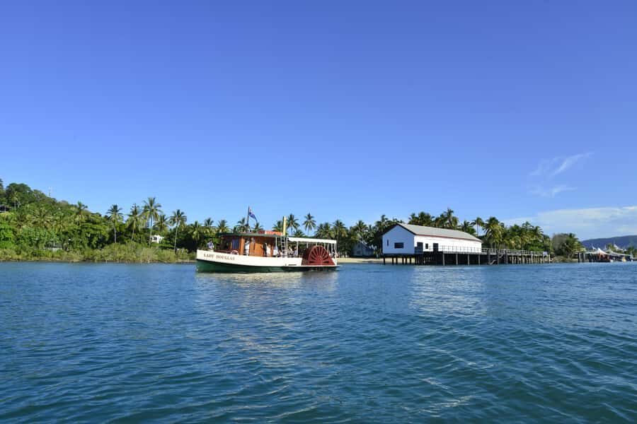 Port Douglas: River Cruise, Crocodile Spotting, Drink/ Snack - The Human Element: Guides and Crew