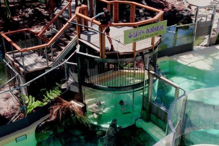 Port Douglas: Wildlife Habitat Swim with Crocodiles - Who Will Love This Tour?