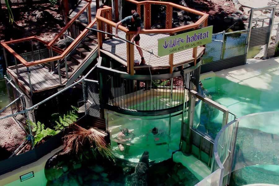 Port Douglas: Wildlife Habitat Swim with Crocodiles - Who Will Love This Tour?