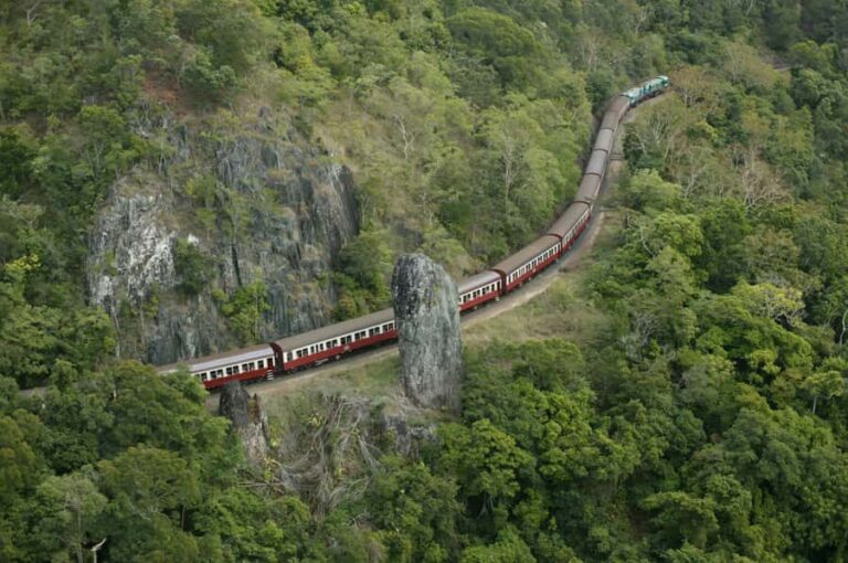 Port Douglas: World Heritage Forest by Skyrail & Scenic Rail - Skyrail Rainforest Cableway: Flying Over the Canopy
