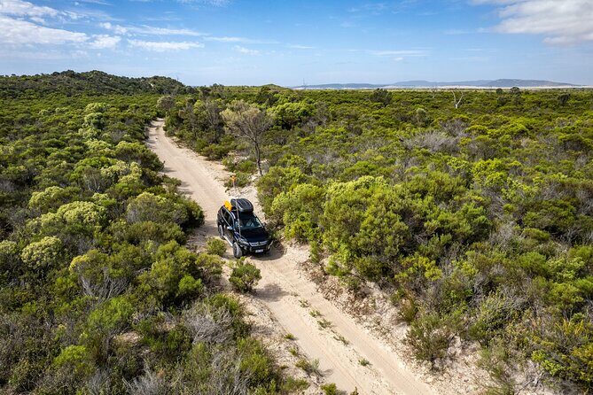 Port Lincoln Full-day Exploration Tour - Who Should Consider This Tour?