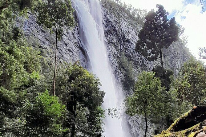 Port Macquarie day tour to Ellenborough Falls & Comboyne Rock - A Charming Lunch in Comboyne