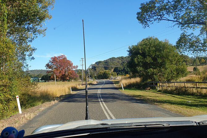 Port Macquarie Day Tour to Water Falls and Lookouts - Final Thoughts