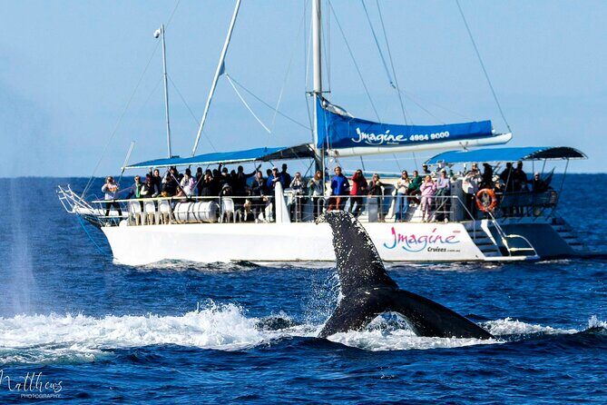 Port Stephens 3 Hour Whale and Dolphin Watch Cruise - FAQ
