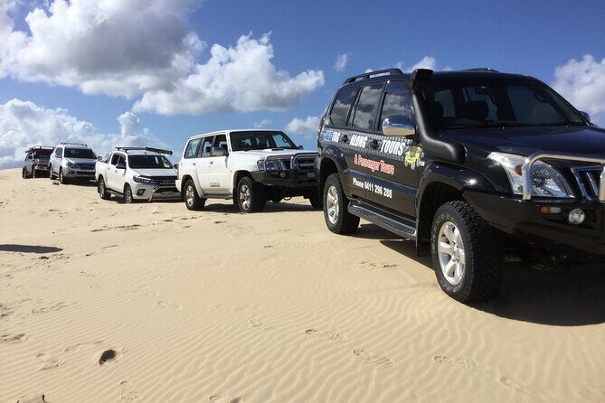 Port Stephens, Beach and Sand Dune 4WD Tag-Along Tour - The Value and Practicalities