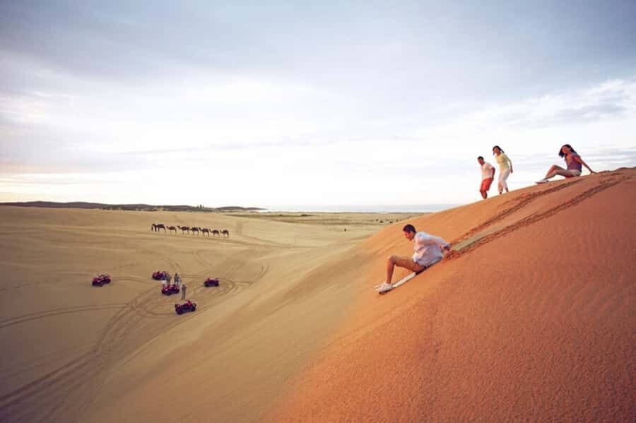 Port Stephens: Dolphin Cruise, Lunch, Koalas & Sandboarding - The Guides and Group Experience
