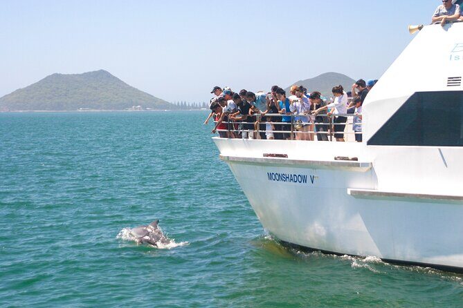 Port Stephens: Dolphin Discovery Cruise - Authentic Experiences Based on Reviews