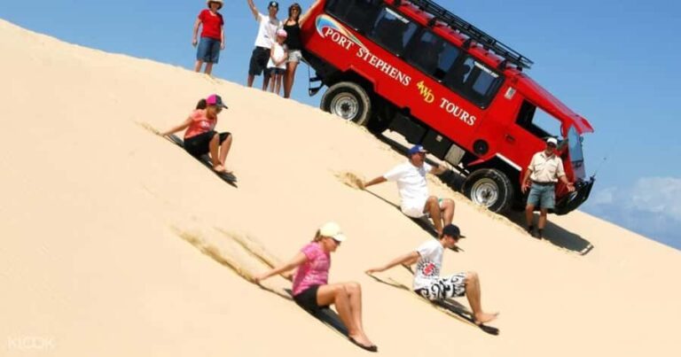 Port Stephens: Dolphin, Lunch, Koalas&Sandboarding -Mandarin - Dolphin Discover Cruise: Watching the Stars of the Sea