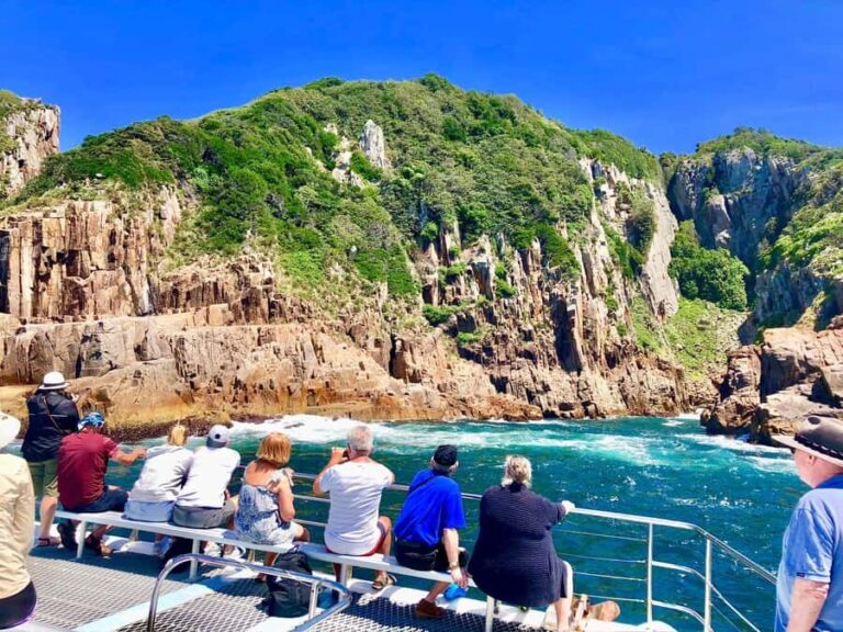 Port Stephens: Dolphin Watch & Eco Adventure - Authentic Feedback from Travelers