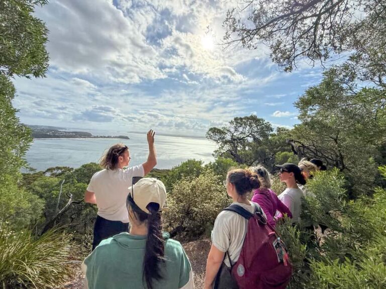 Port Stephens, from Newcastle: Whales, hike & sand dunes! - Who Will Love This Tour?