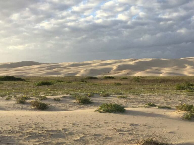 Port Stephens: Stockton Sand Dunes 4WD Tag-Along Tour - The Itinerary: What to Expect