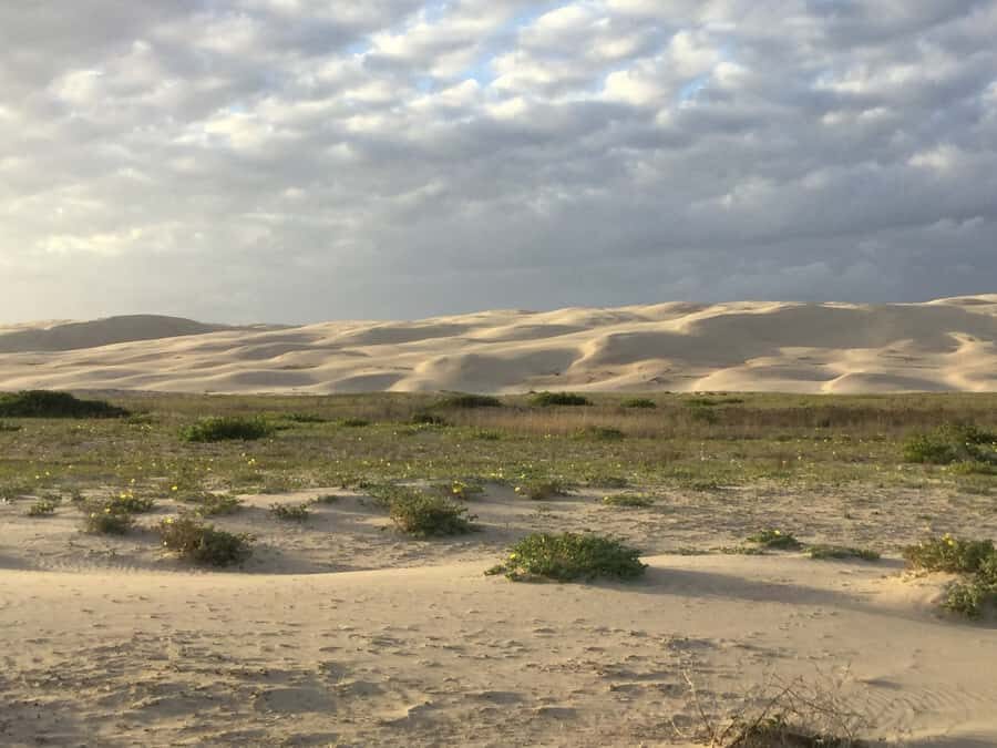 Port Stephens: Stockton Sand Dunes 4WD Tag-Along Tour - The Itinerary: What to Expect