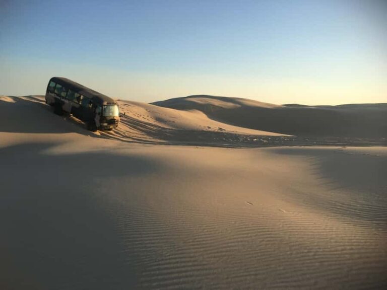 Port Stephens: Unlimited Sandboarding with 4WD Dune Transfer - What Are the Main Highlights?