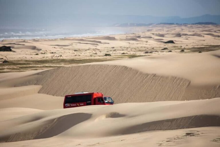 Port Stephens: Worimi National Park Sandboarding Adventure - Discovering the Stockton Bight Sand Dunes