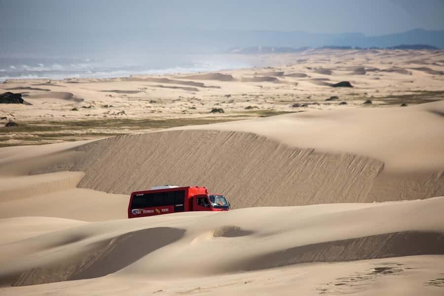 Port Stephens: Worimi National Park Sandboarding Adventure - Discovering the Stockton Bight Sand Dunes