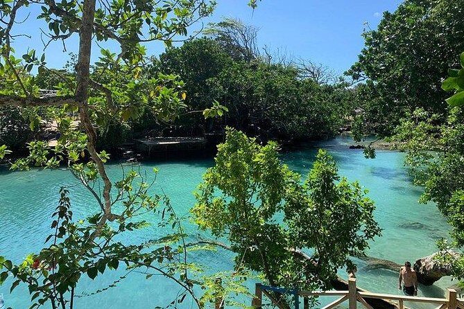 Port Vila Full Day Tour - Experience the Real Vanuatu - The Experience: Pros and Cons