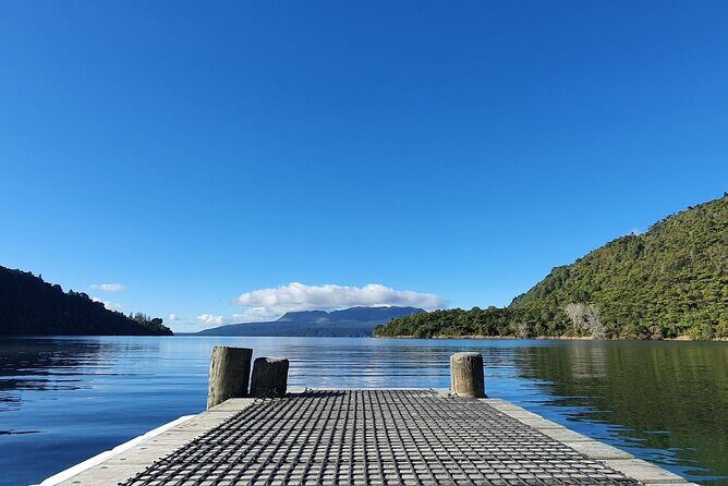 Ports of Tauranga/Rotorua/Tga - 6 Hours Rotorua Highlights Tour - Redwood Forest Walk or Treewalk
