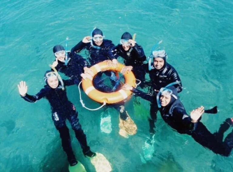 Portsea: Guided Snorkeling Tour with Weedy Sea Dragons - Who Would Love This Tour?