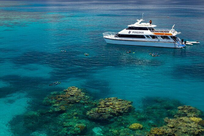 Poseidon Outer Great Barrier Reef Snorkeling and Diving Cruise from Port Douglas - FAQs