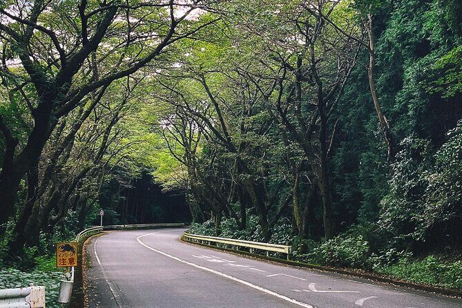 Private 1 Day JDM/Sports Car Tour to Mt Fuji, Hakone, and Onsen - The Value of This Experience