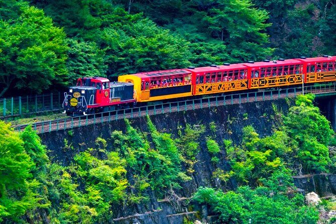 Private 10-hour chartered car service for Kyoto and Nara in Japan - Why choose this tour? The top benefits: