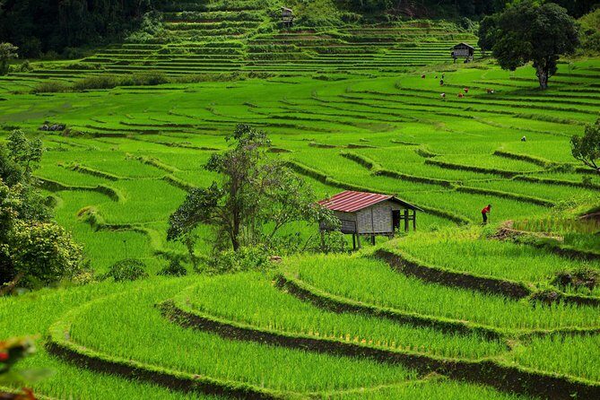 Private: 3 days 2 night trip: ChaingMai-Chaingrai- The Golden Triangle trip - Practical Details and Traveler Experience