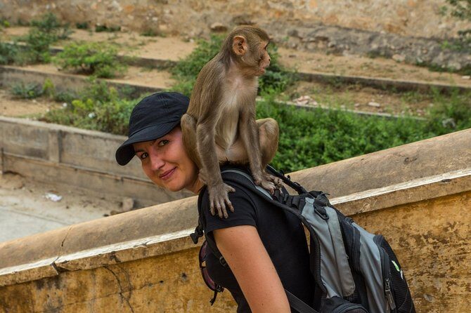 Private 6 Hours: Jaipur Temples Tour - Why This Tour Offers Real Value